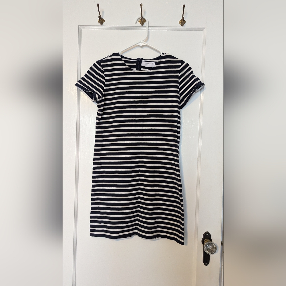 Everlane Striped Mini Dress